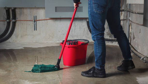 Best Water damage restoration process  in Fredonia, KS