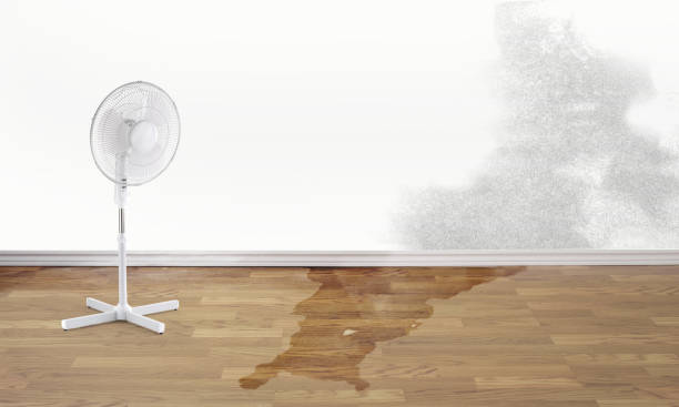 Best Commercial water damage restoration  in Fredonia, KS