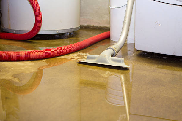 Water damage restoration mold remediation