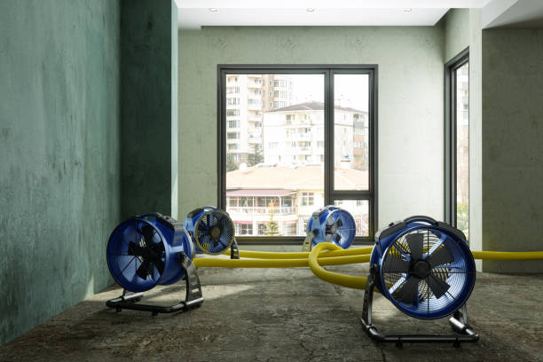 Best Ceiling water damage repair  in Fredonia, KS